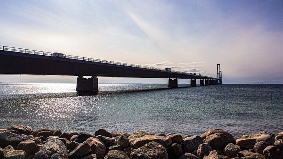 Private Tour From Copenhagen to Aalborg 2 Hour Stop in Odense