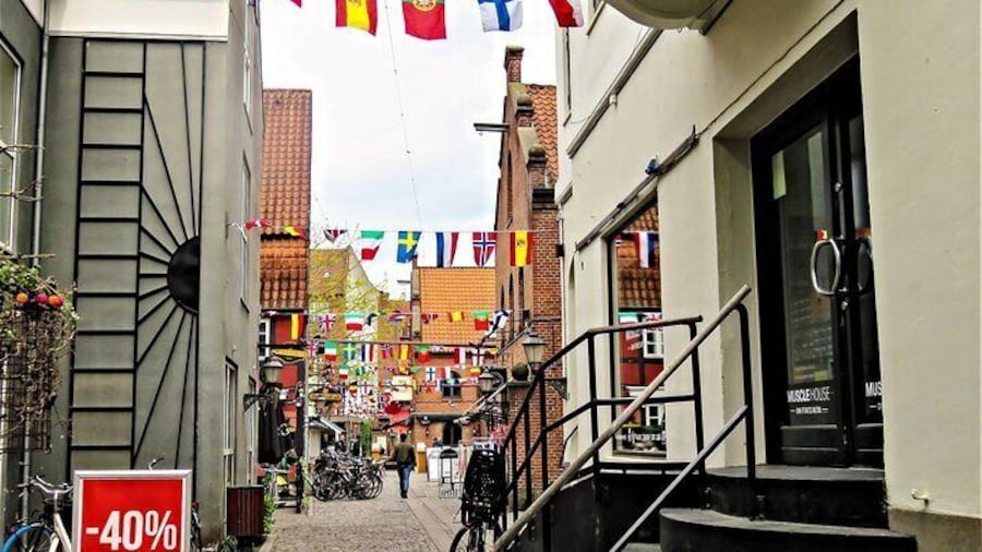 Private Tour From Aalborg to Copenhagen 2 Hour Stop in Odense