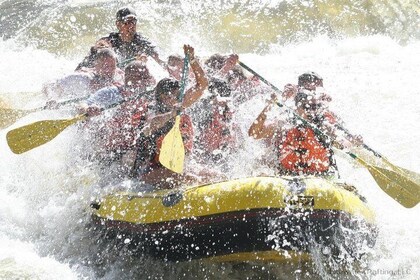Glenwood Springs Half-Day Rafting Trip