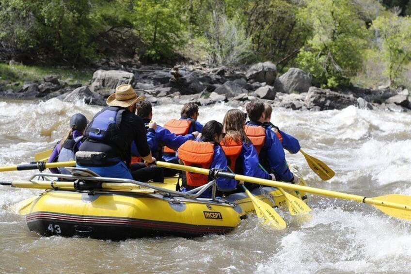 Glenwood Springs Half-Day Rafting Trip