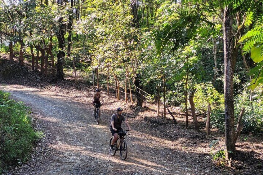 Logging roads.