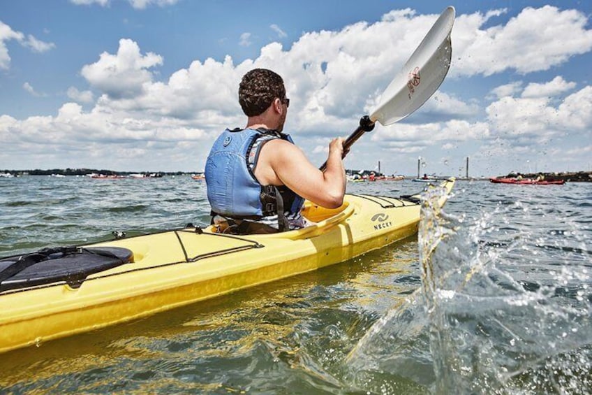 Explore the waters of Casco Bay!