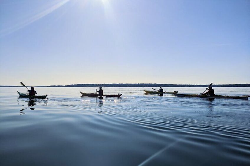 Casco Bay Half-Day Sea Kayak Tour