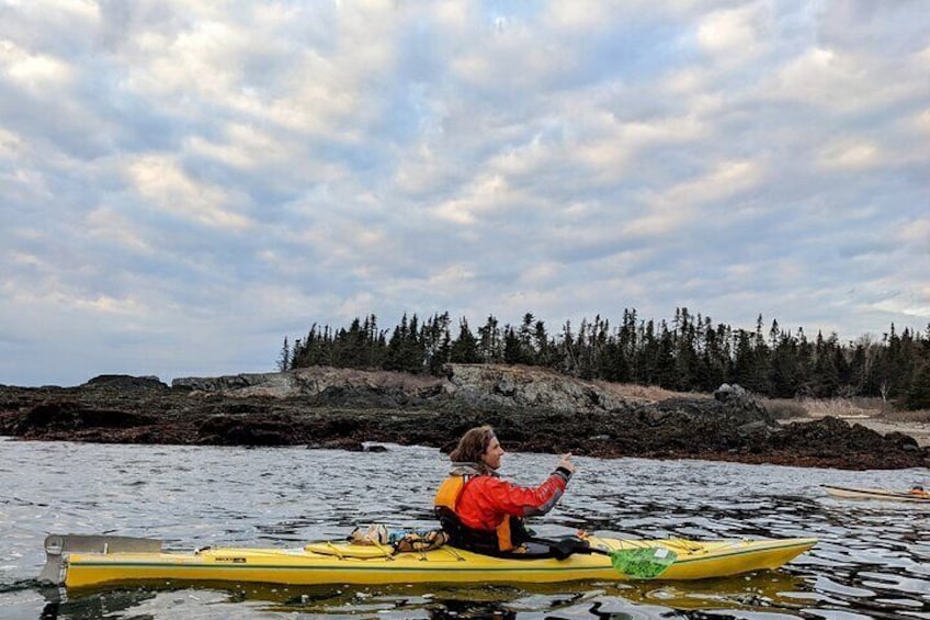 Casco Bay Half-Day Sea Kayak Tour