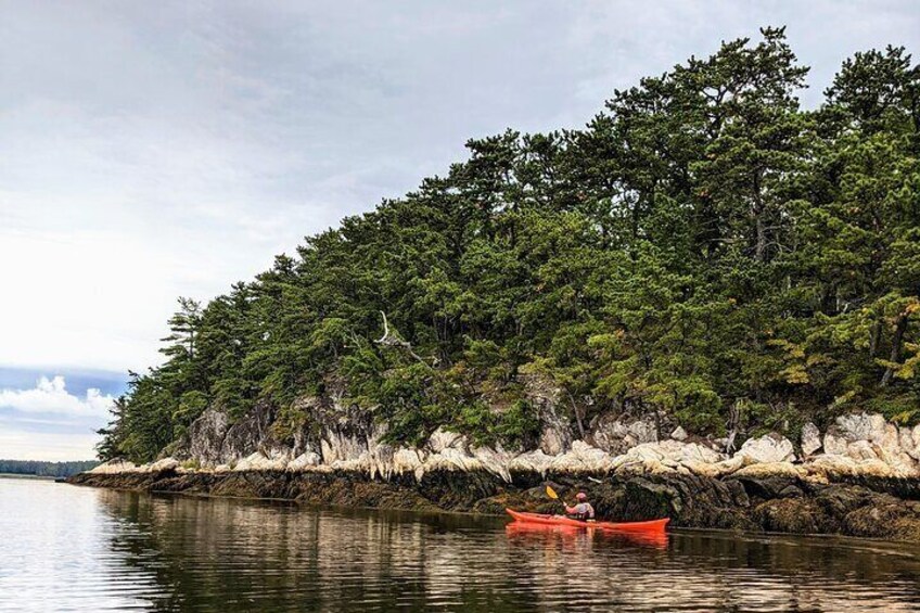 Casco Bay Half-Day Sea Kayak Tour