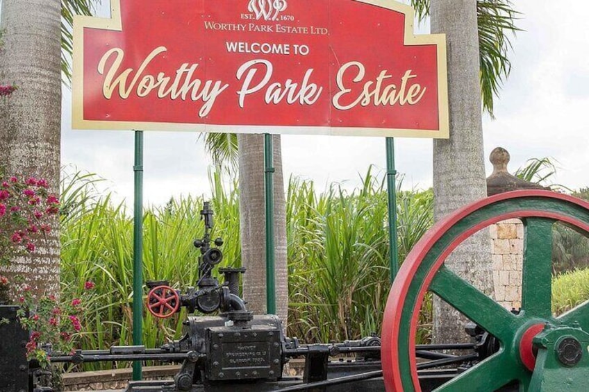 Worthy Park Estate Rum Private Tour