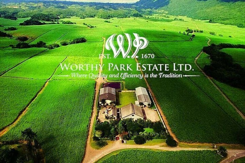 Worthy Park Estate Rum Private Tour