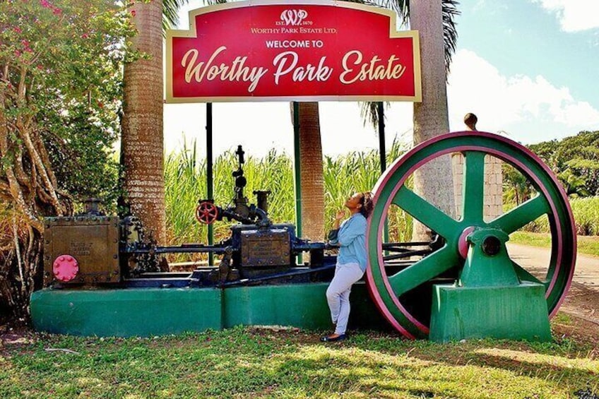 Worthy Park Estate Rum Private Tour