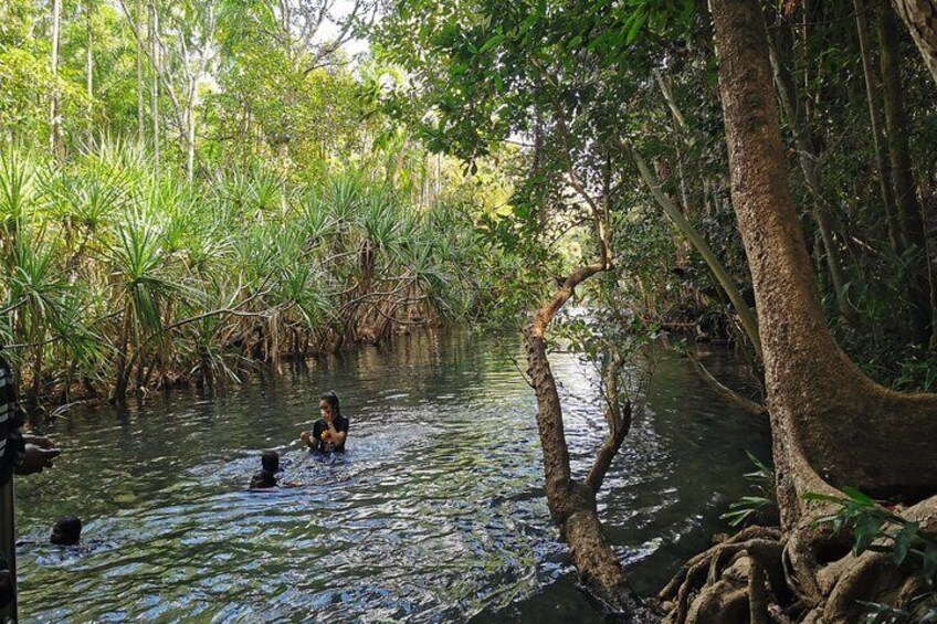 1 Day Berry Springs, Jumping Croc Cruise, Fogg Dam & Outback Pub