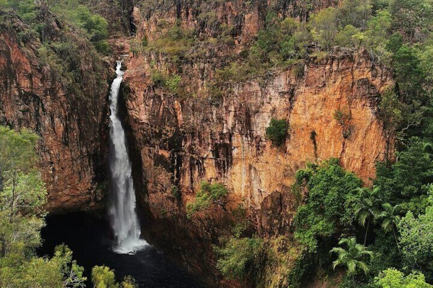 Litchfield National Park Tour & Berry Springs Tour, Max 10 Guests