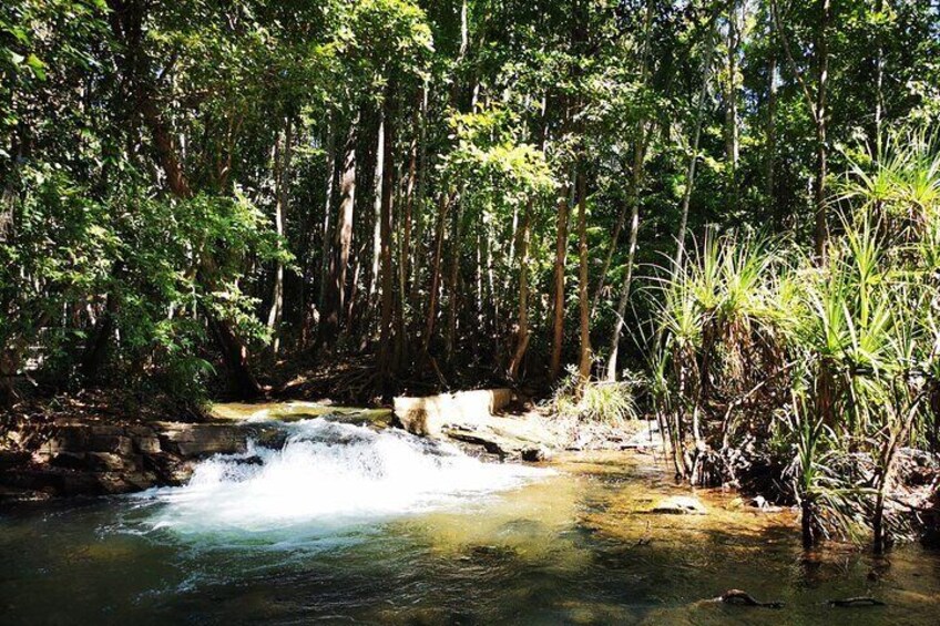 Waterfall at Berry Springs