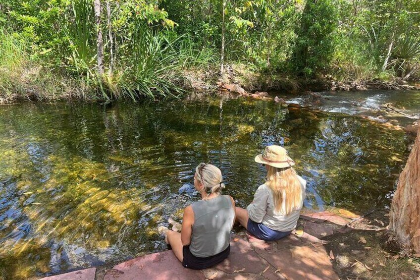 1 Day Litchfield National Park Tour & Berry Springs in Minivan