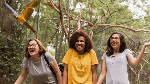 Desde Puerto Iguazú: Excursión al Parque de las Aves de Brasil con entradas