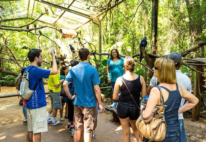 Picture 8 for Activity From Puerto Iguazú: Brazilian Bird Park Tour with Tickets