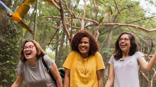 De Puerto Iguazú : Visite du parc d’oiseaux brésilien avec billets