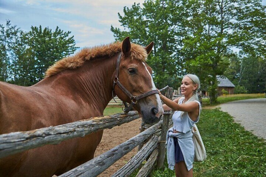 Family visit to the Acadian Historic Village