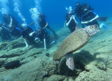 Heraklion Pengalaman Menyelam Scuba untuk Pemula