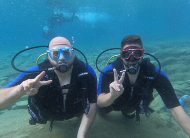 伊拉克利翁：初學者水肺潛水體驗