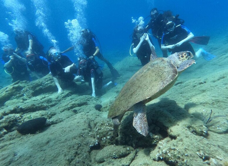 Heraklion: Scuba Diving Experience for Beginners