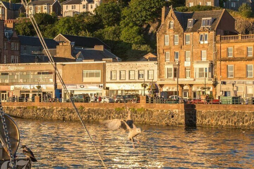 Private Tour of Highlands Oban Glencoe Lochs Castles from Glasgow