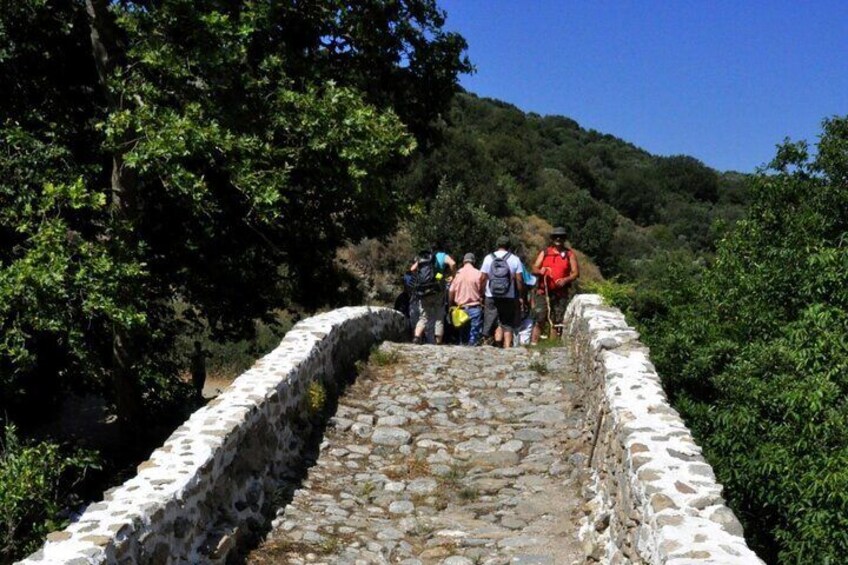 Full Day to Rihti Waterfalls, Kornaros Castle, Mochlos, Tholos