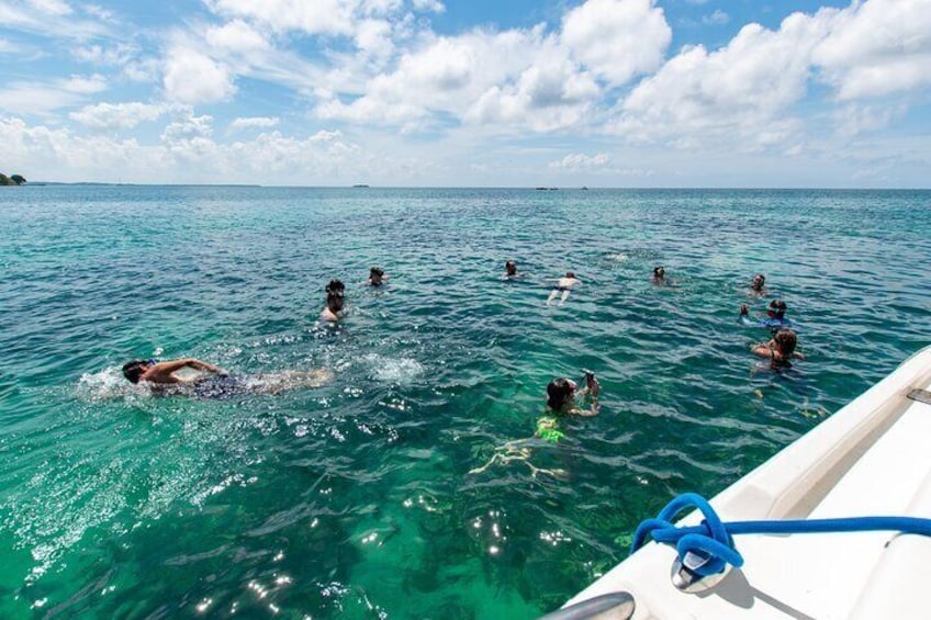 Snorkeling time