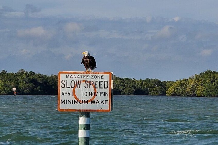 Sunset and Dolphin Tour, Fort Myers Beach and Sanibel Lighthouse