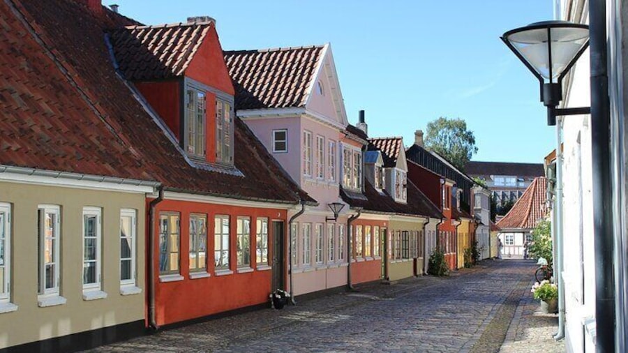 Private Tour From Copenhagen to Ribe With a 2 Hour Stop in Odense