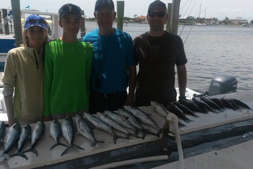 Private Boat and Dolphin Watching in Florida