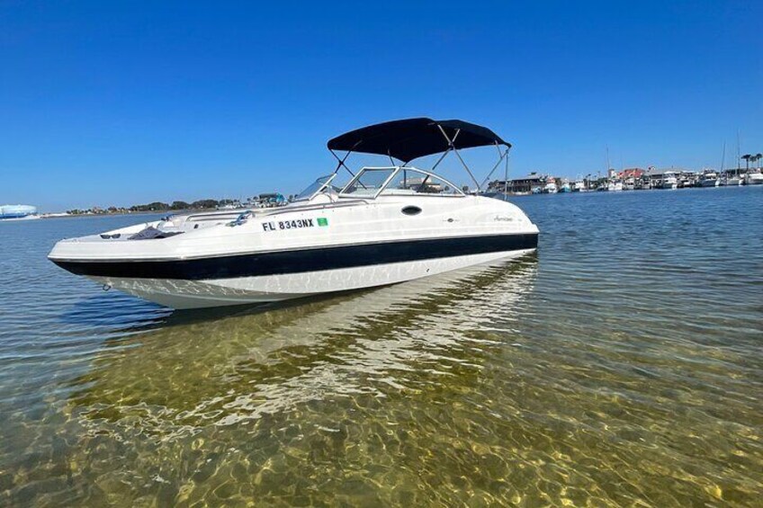 Private Boat and Dolphin Watching in Florida