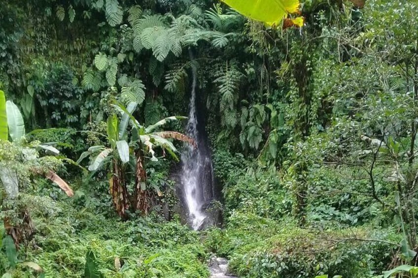 Keliki Village Tour And Rice Field Walk Including Lunch Or Dinner