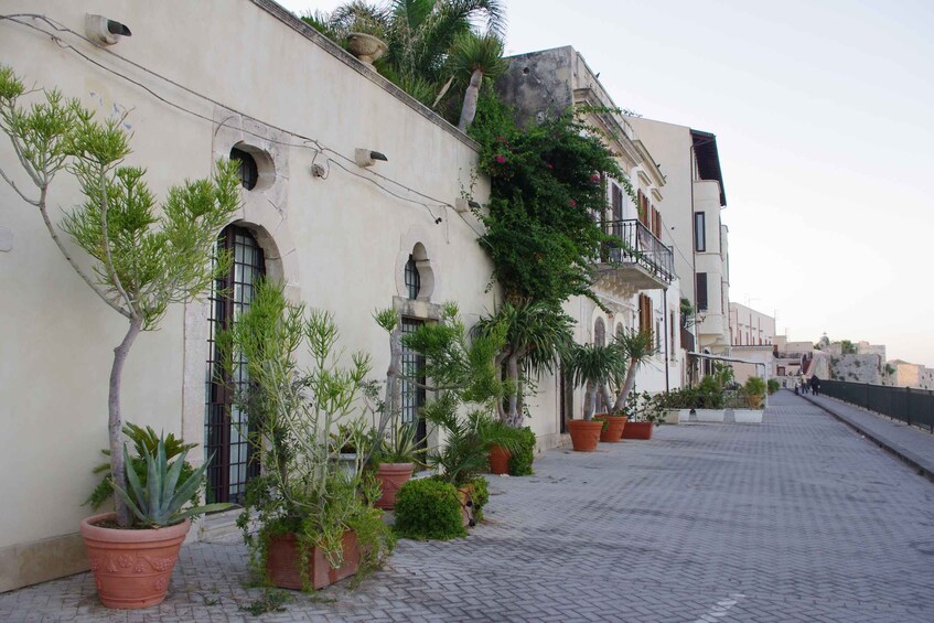 Picture 8 for Activity Ortigia: Private Walking Tour and Boat Trip