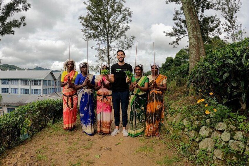 Tea Plantation Tour in Ella, Sri Lanka