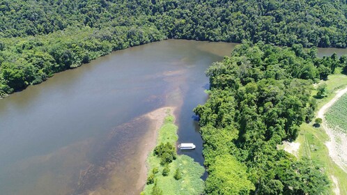 Cairns: crucero con experiencia en la vida silvestre por la selva tropical ...