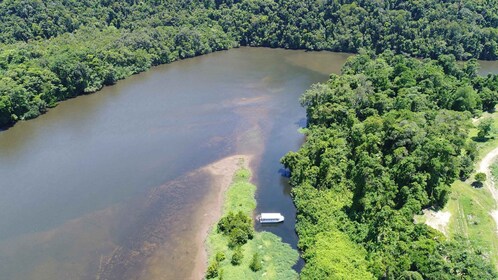 แคนส์: ล่องเรือสัมผัสสัตว์ป่าในป่าฝนเดนทรี