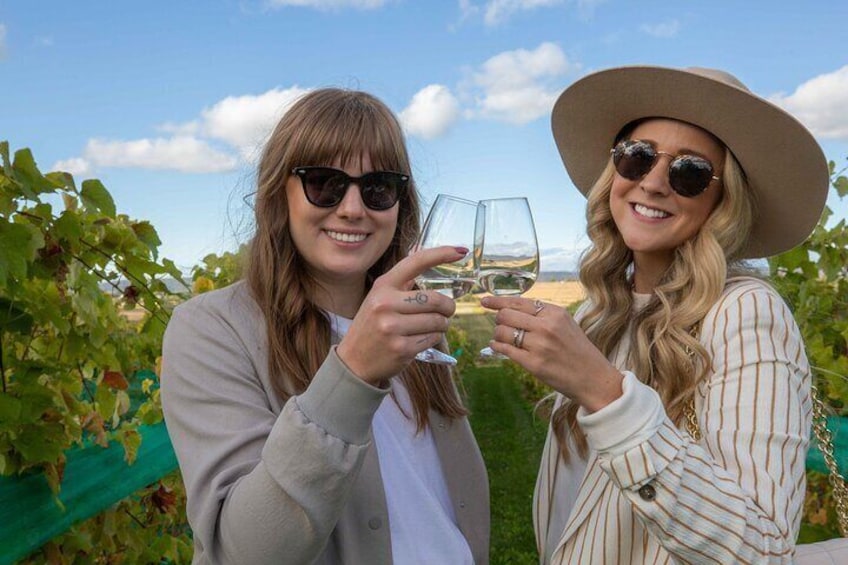 Wine Enthusiast Tour