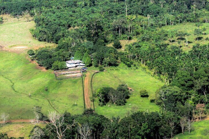 Full Day Tour to Rock Paintings in Cerro Azul Guaviare