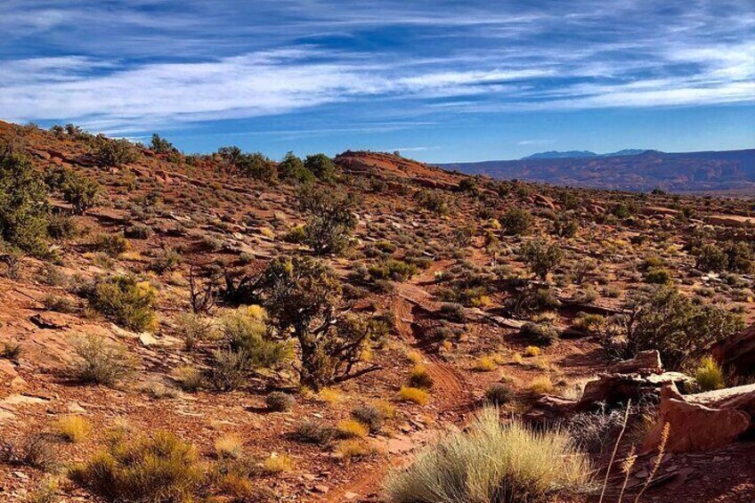 Private Half Day Guided Mountain Bike Tour in Moab 