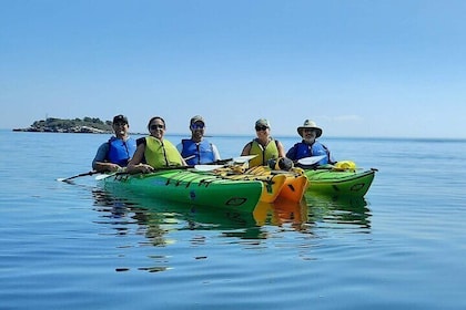 Kayak Trips on Lake Superior, Two Harbors, MN (Larsmont Cottages)