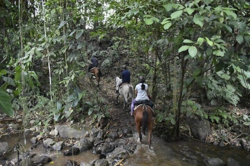 Half Day Tour and Horseback Riding to La Fortuna Waterfall