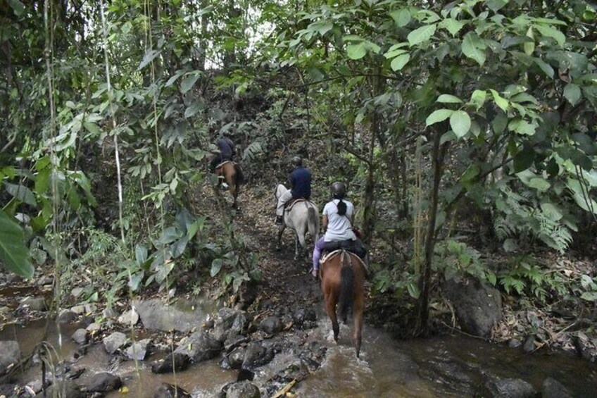 Half Day Tour and Horseback Riding to La Fortuna Waterfall