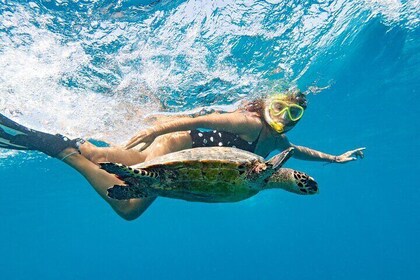 Half Day Private Sail and Snorkel Trip to St John