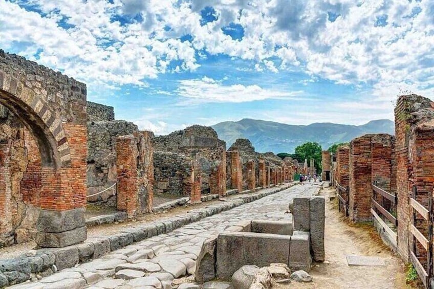 Pompeii and wine tasting on the slopes of Vesuvius from Naples