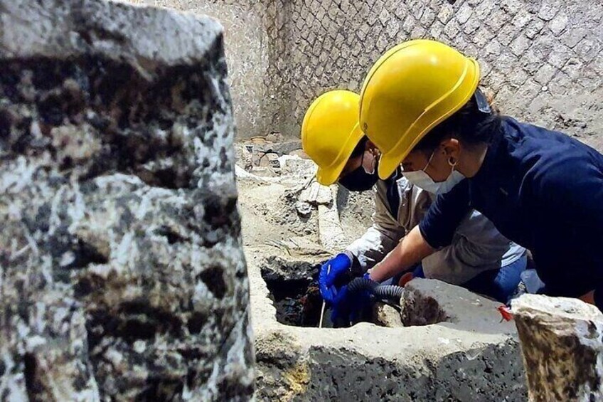 Pompeii and wine tasting on the slopes of Vesuvius from Naples