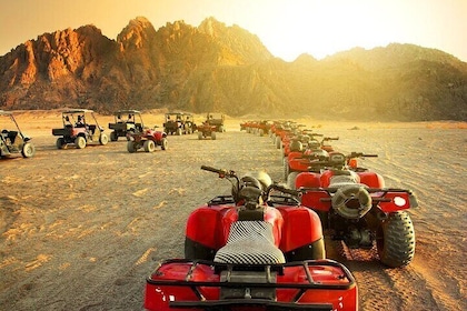 Sunset Quad Tour with Eco Mountain With Dinner From Sharm