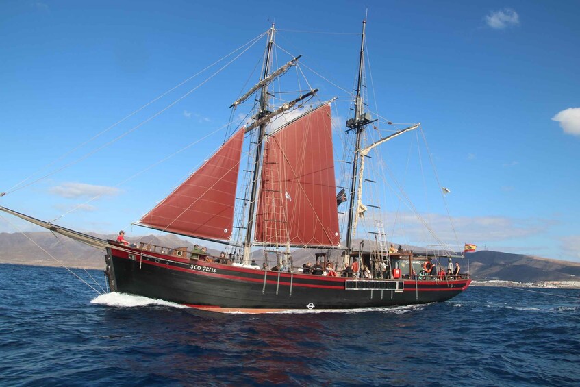 Picture 1 for Activity Fuerteventura: 4-Hour Pirate Sailing Adventure