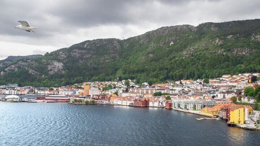 Private Tour From Oslo to Bergen With a 2 Hour Stop in Drammen