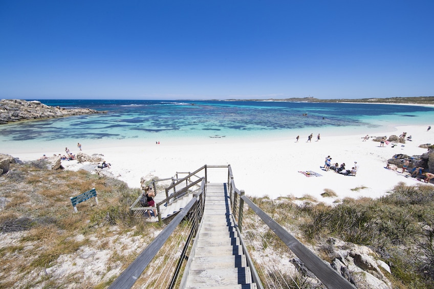 Rottnest Island Bayseeker Package from Perth