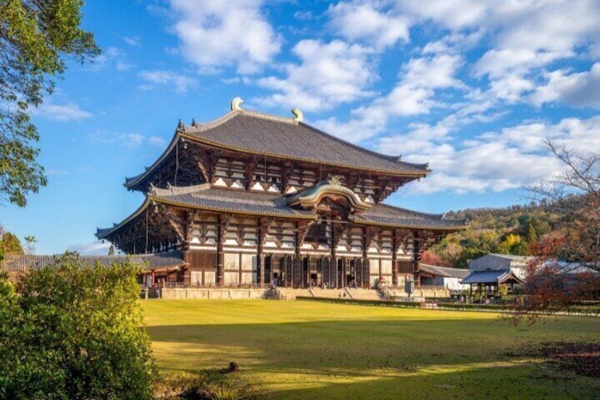 Arima Onsen, Tōdai-ji, Kobe Sanda Outlets & Nara Park fr Osaka