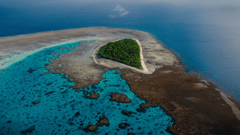 Picture 1 for Activity Town of 1770: Lady Musgrave Island Snorkelling Day Cruise